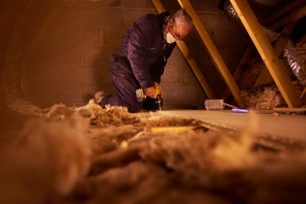 Best Commercial Insulation in Ault, CO